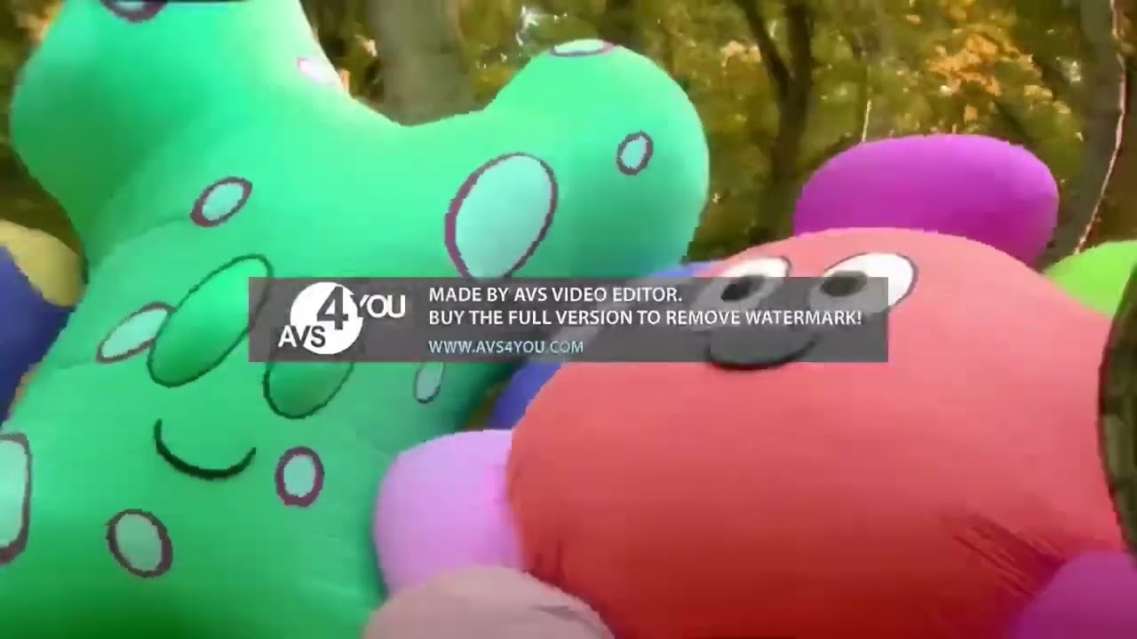 Hello Haahoos in wiggle major