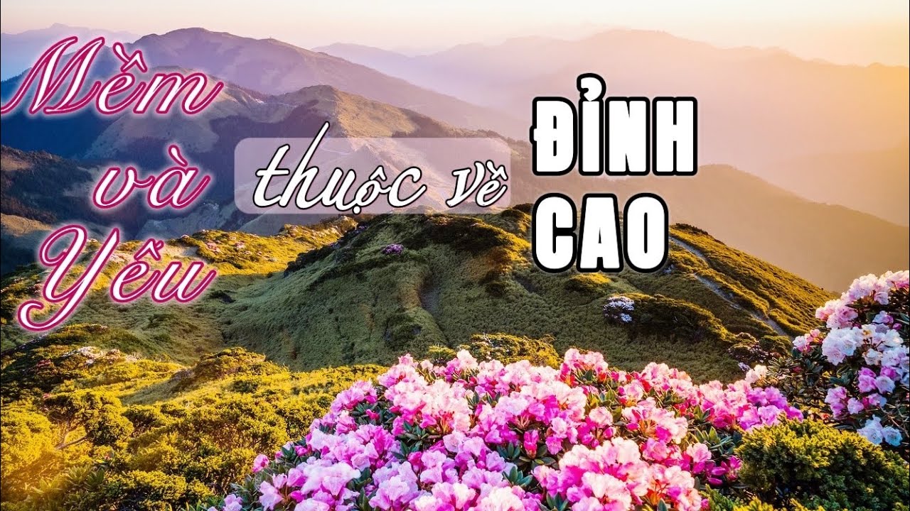 Mềm mại và yếu đuối là thuộc về đỉnh cao      |    OSHO
