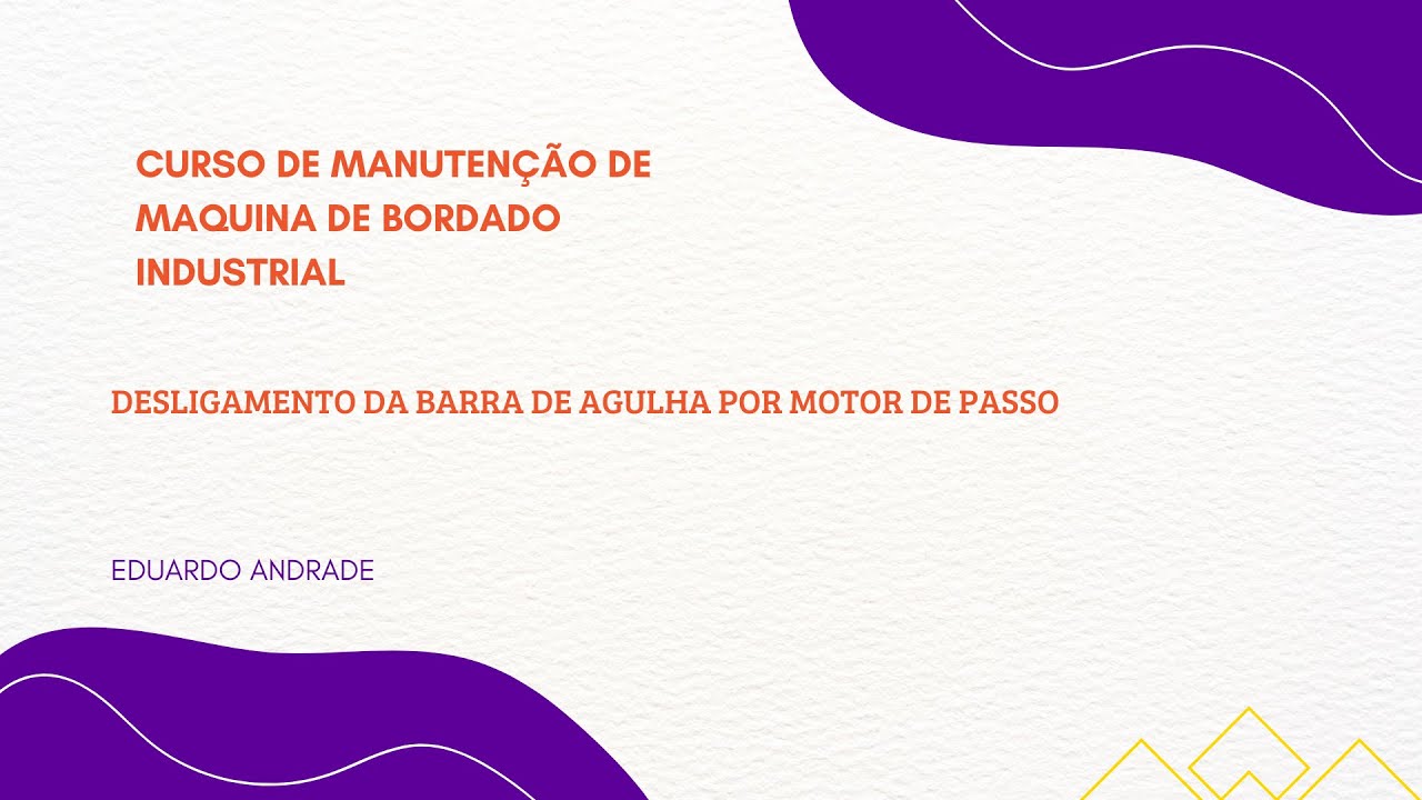 revisão manutenção preventiva BORDADEIRA SWF SÉRIE E