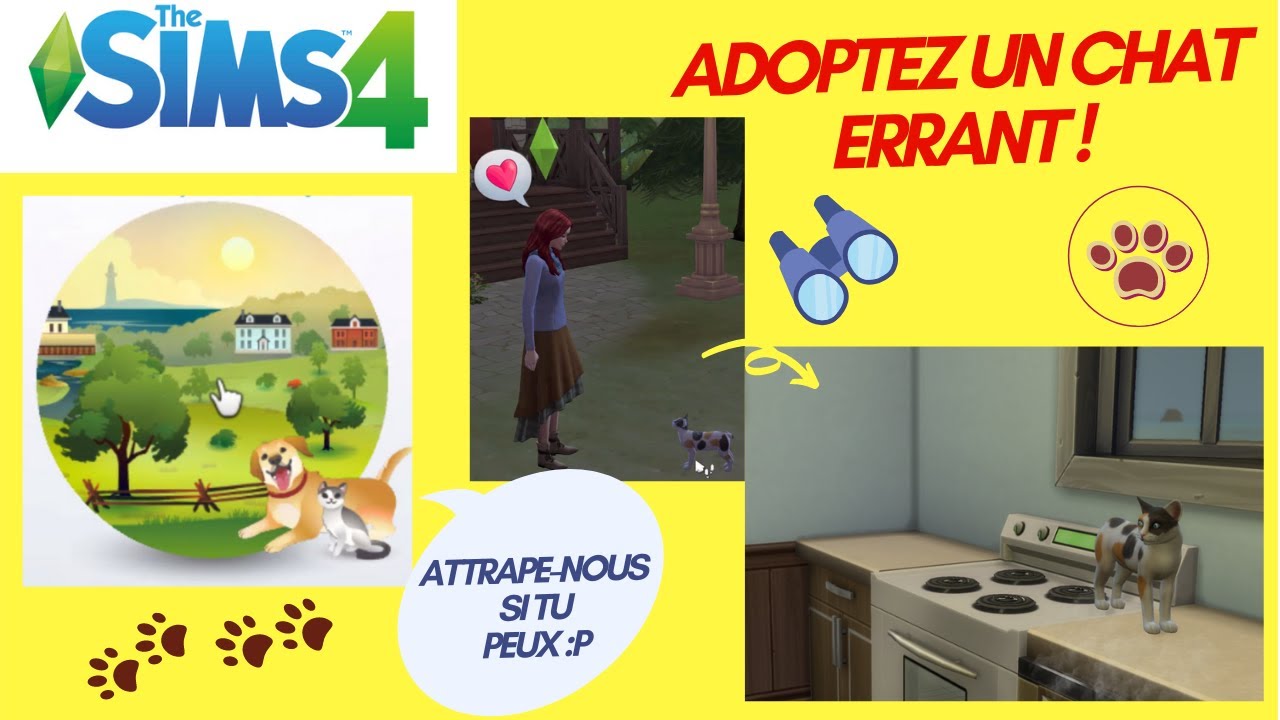 Les sims 4 : Adopter un chat errant !