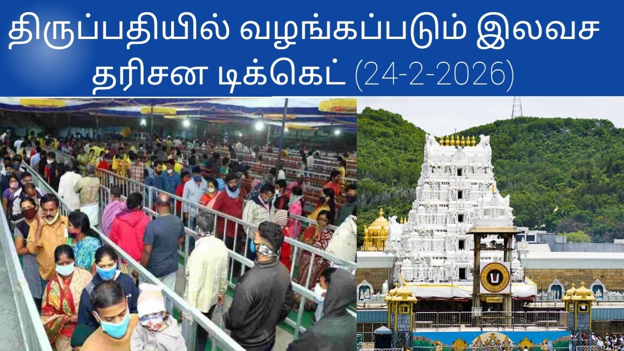 Tirupati updates today tamil | (24-2-2026)#tirupati