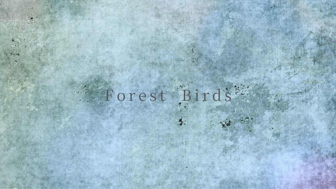 Morning Birds & Green Hues | 3 Hours Dynamic Canvas for Study & Relax