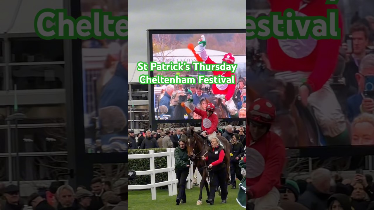 St Patricks Thursday at Cheltenham Festival #cheltenhamfestival #shorts