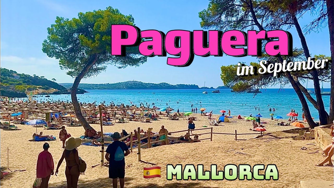 Paguera🌴🏖️MALLORCA island🩷NEW Beach & City im September 2024 TOP! 🇪🇸spain #mallorca #travel #vlog