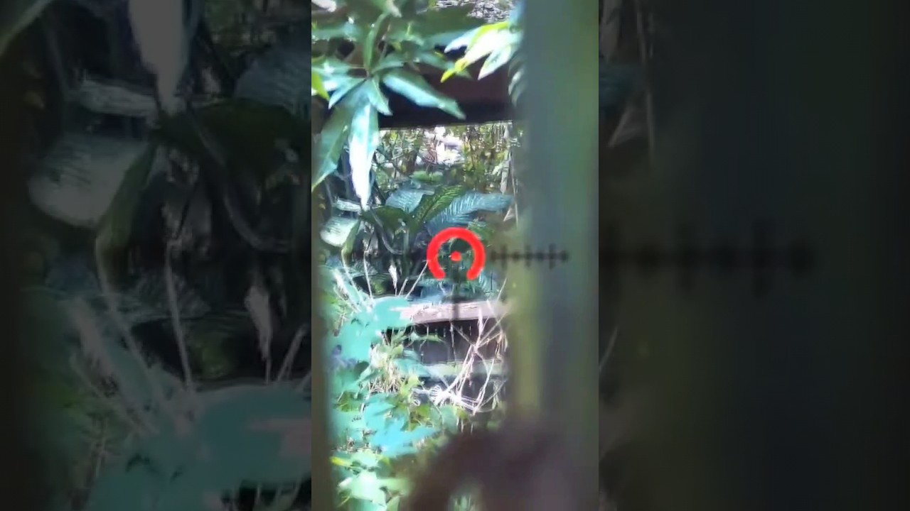 Sniper Eliminated! ~ Airsoft Warfare! #airsoftonly #shortsvideo #shorts #shortsyoutube #viralshort