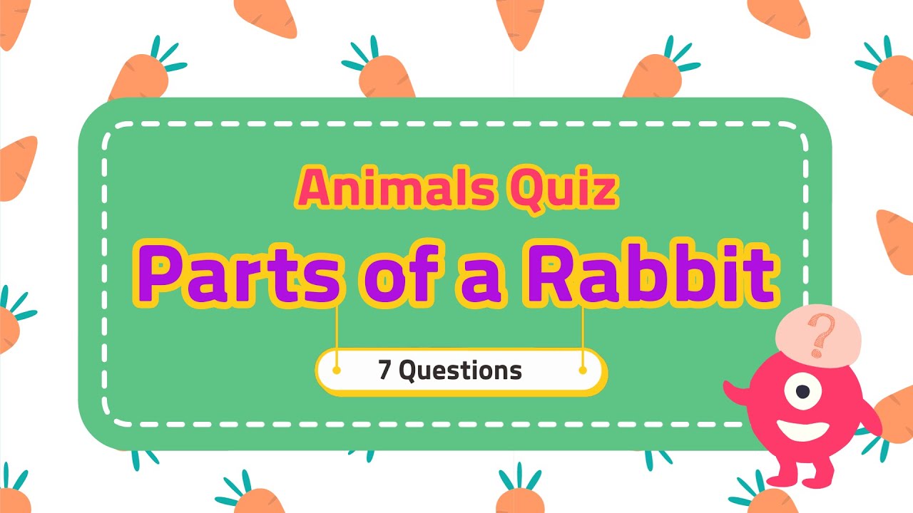 Animals quiz | Parts of  a rabbit | Quizzes for kids (Download free resources)