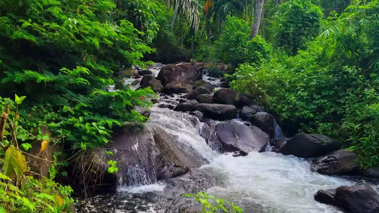 Serene Stream Ambience for Focus • 1 Hour Calming Water Flow for Clarity & Deep Work 4K