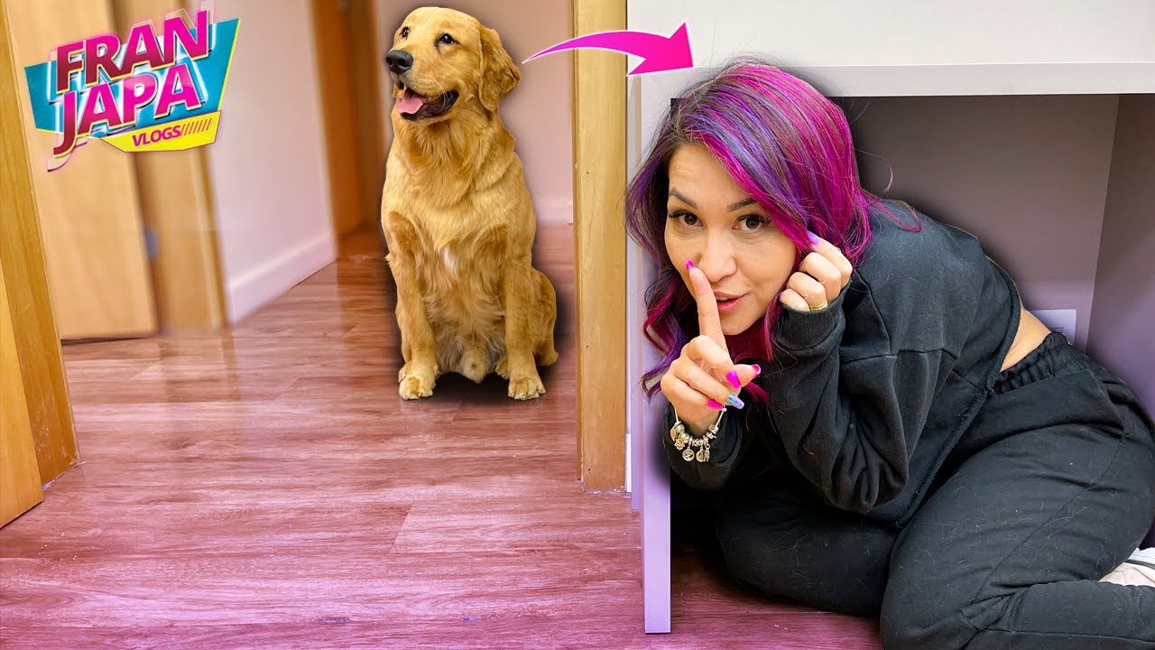ESCONDE ESCONDE COM MEU CACHORRO !!! - Fran Japa
