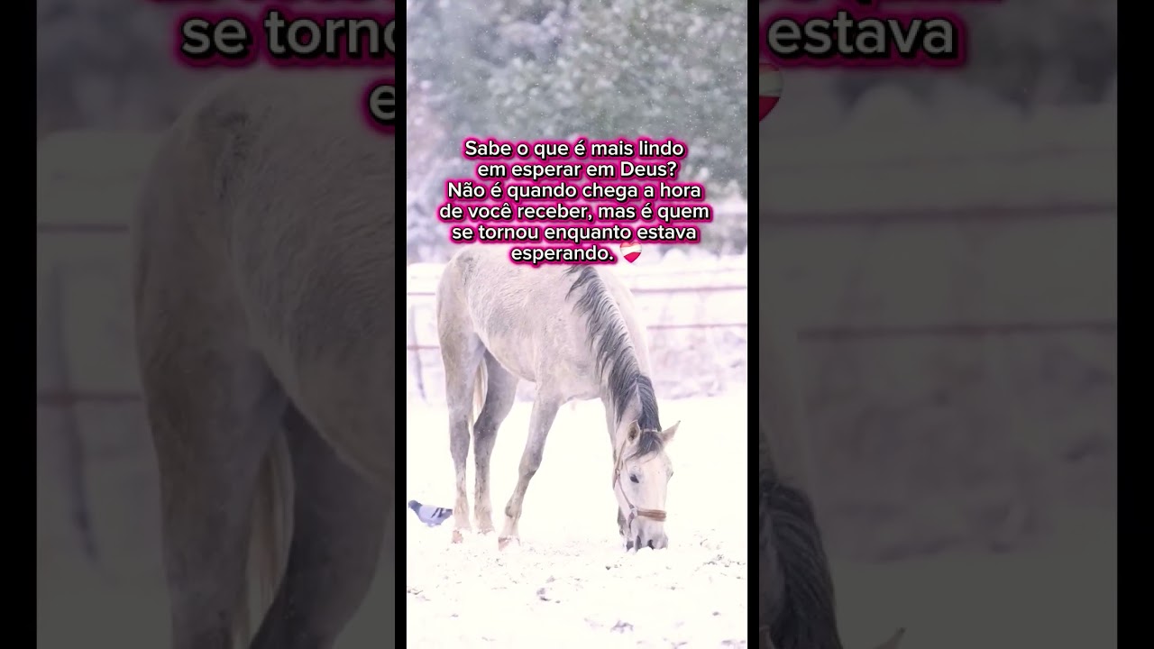 Sabe o que e mais lindo 