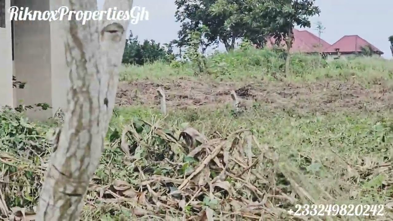 Продаются 4 земельных участка в Кейп-Косте, Гана 🇬🇭 || Полицейский барьер Mpeasem