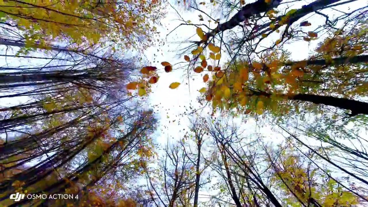 961 #Yedig&ouml;ller #BoluYedig&ouml;ller #NatureLovers #DoğaAşkı #SonbaharRenkleri  #BeautifulDestinations