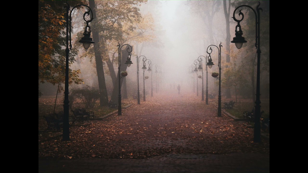 Autumn victorian park ambient classical violin music relaxation, meditation, calm stress relief.