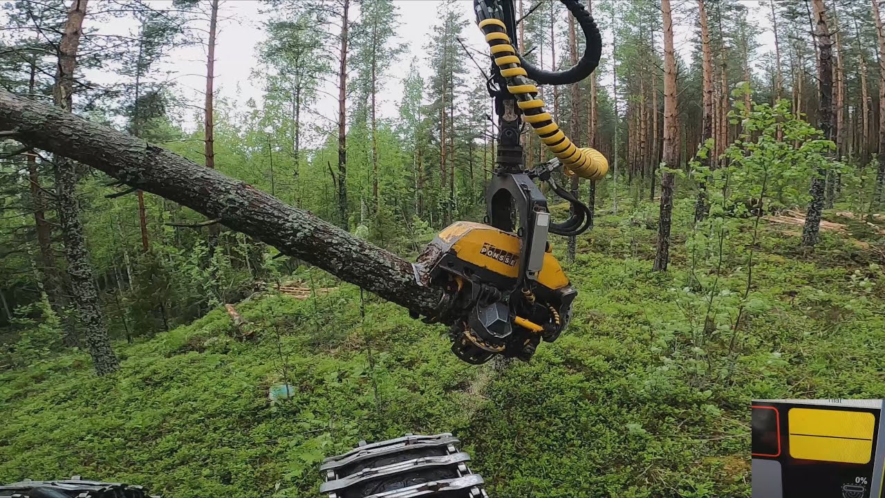 Hyvän kokoista mänty harvennusta ja vastaan muutamaan kommenttiin. Ponsse Scorpion King H7.