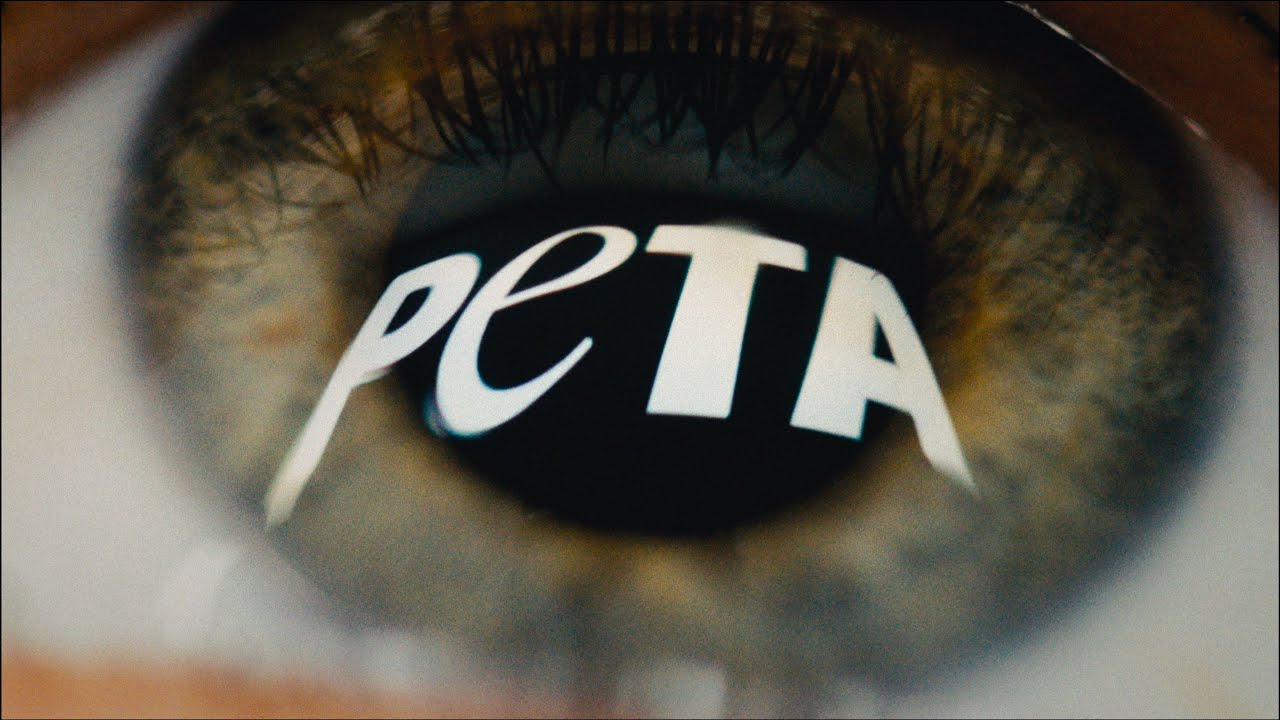 Why Everyone Hates PETA (it's astroturfing)