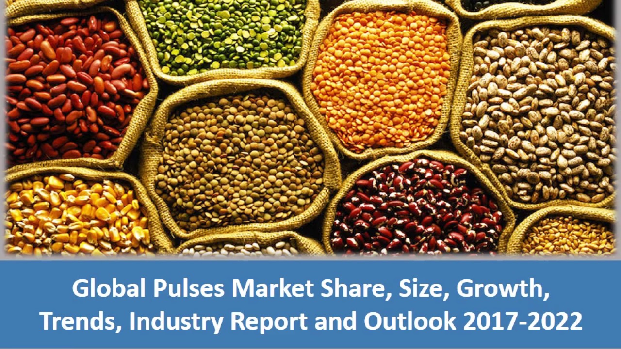 Global Pulses Market Price Trends, Report and Outlook 2017 To 2022