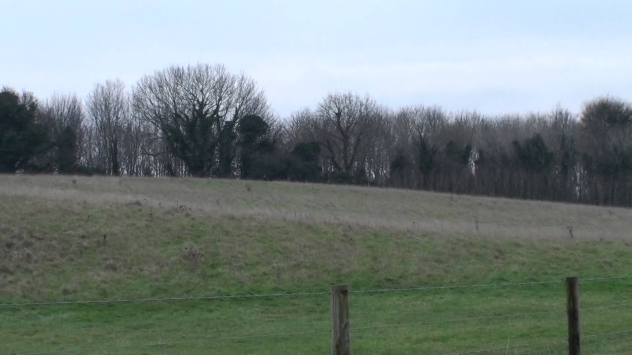 Short Eared Owl, Dorset/Wiltshire - 04/01/2015