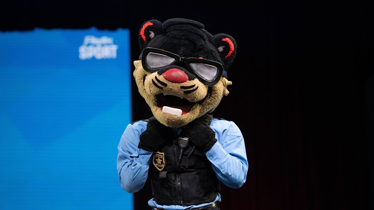 2025 Bearcat Mascot UCA 1st Place Nationals Routine