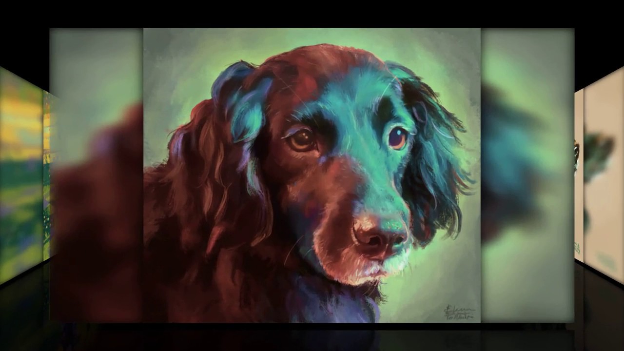 Pet portraits and dog portraits