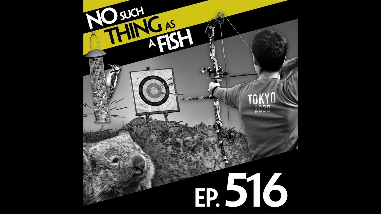 Ep 516: No Such Thing As Zeno's Harbour