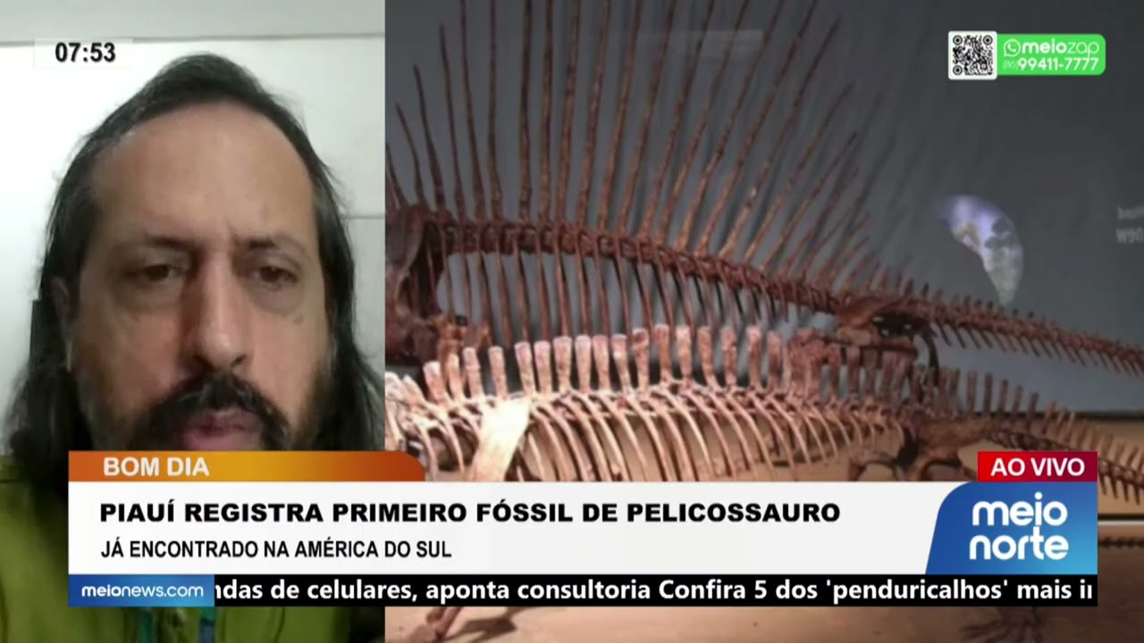 Piauí registra primeiro fóssil de pelicossauro; veja! | Bom Dia