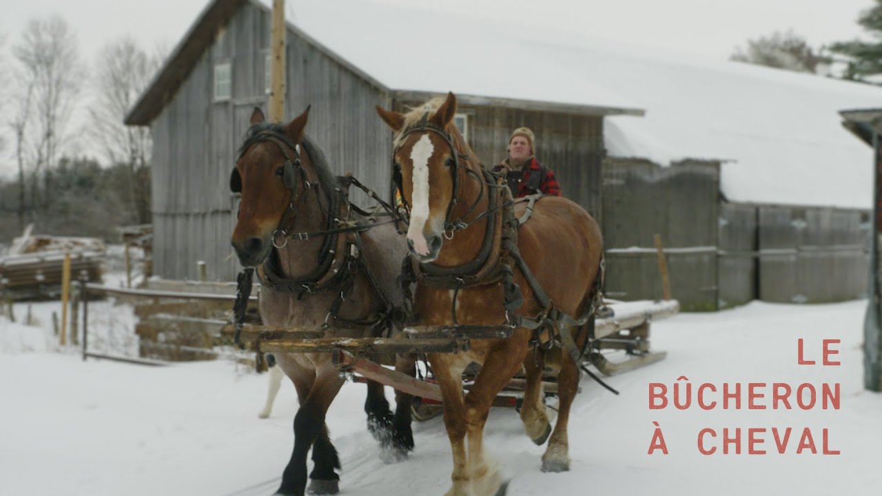 Carbone | Quand les chevaux remplacent les machines