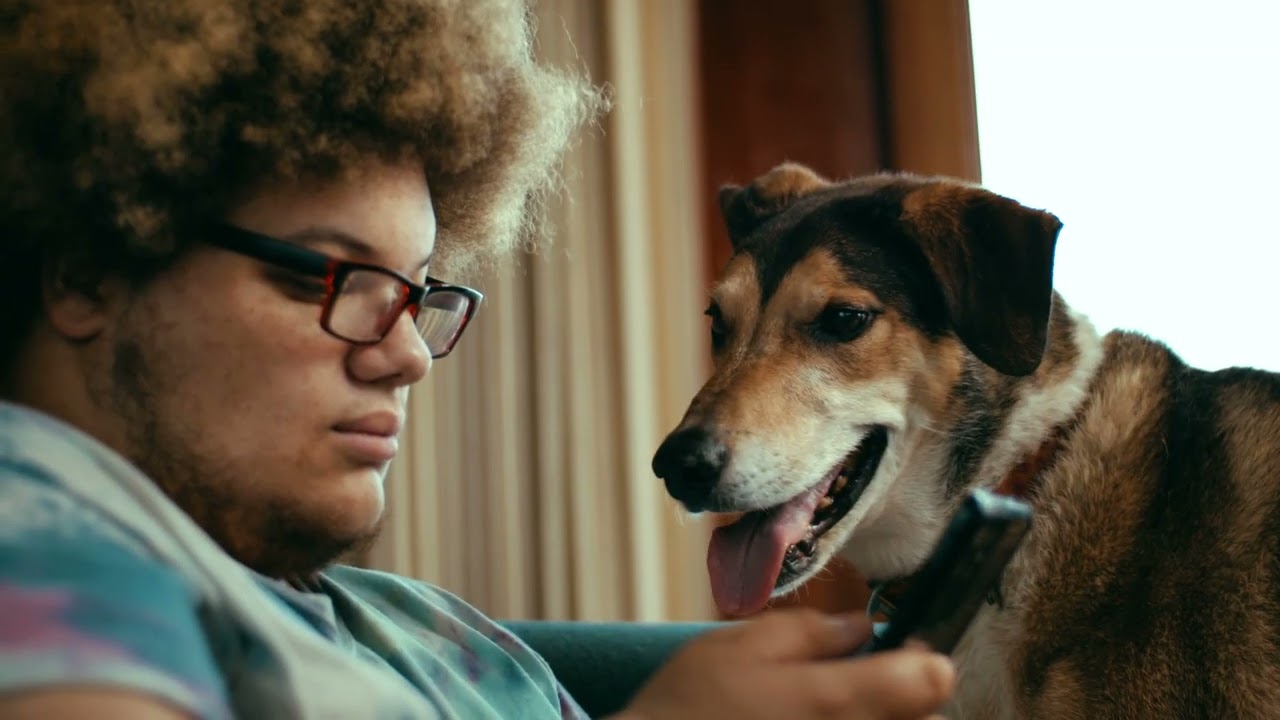 Human Animal Bond Video  - Nationwide Pet Insurance