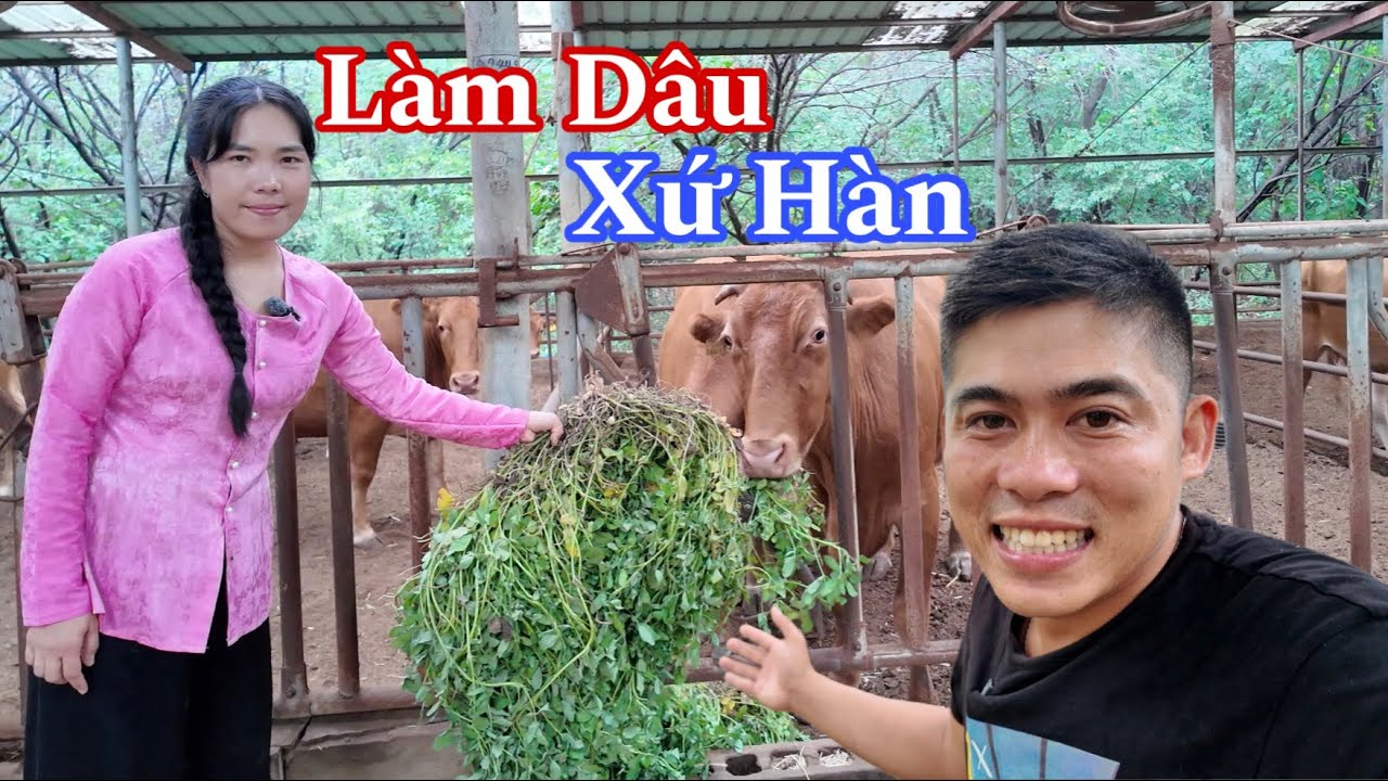 Cuộc Sống Của Cô Dâu Việt 13 Năm Lấy Chồng Hàn Quốc 