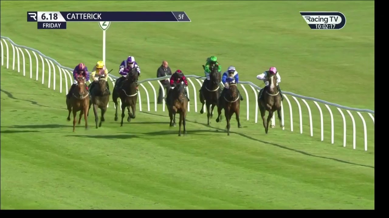 Catterick races for Ziva's Star