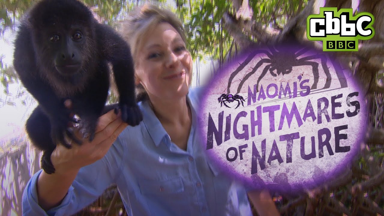 Monkey Jumping on BBC Camera - Naomi's Nightmares of Nature CBBC