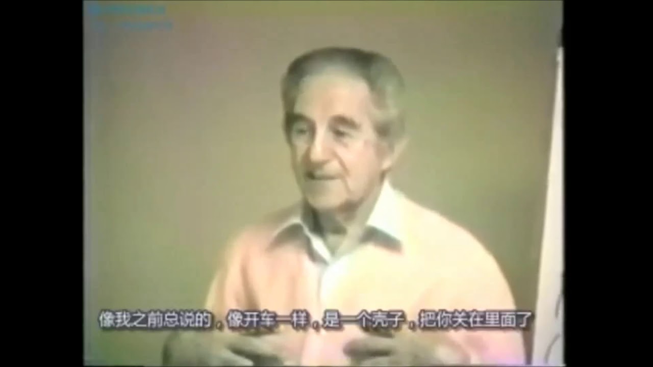 莱斯特视频合集（莱斯特的教导）