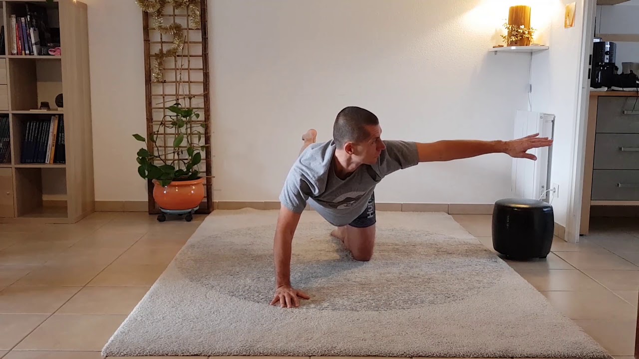 Mouvement Naturel - Quadrup&eacute;die 1 D&eacute;veloppez force et vitalit&eacute;