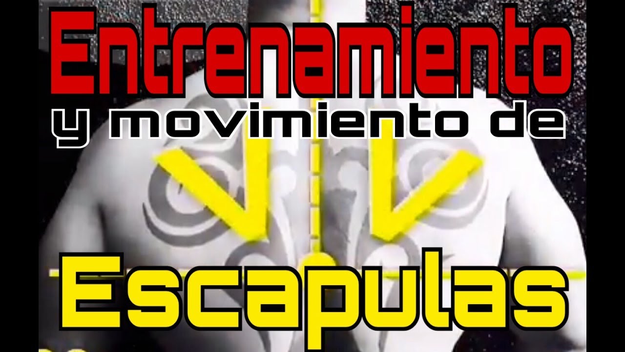 B&aacute;sico 3: Esc&aacute;pulas y Entrenamiento con Cargas.