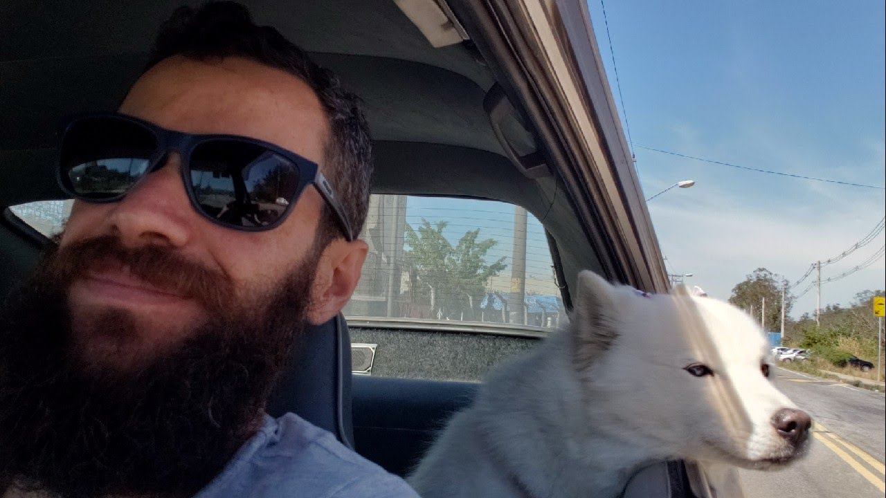 Fui ao Shopping com a Luna, a reações das pessoas ao verem ela!