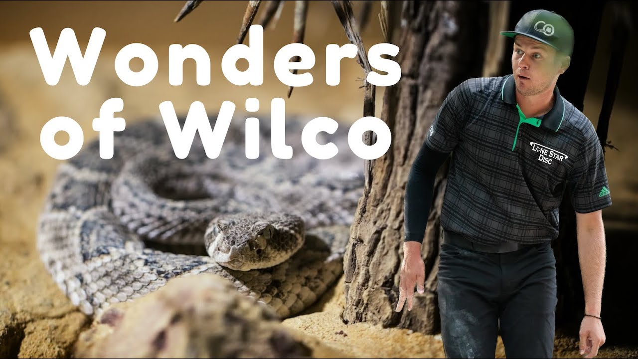 2023 Vlogmas day 11 | Williamson County Disc Golf Course (aka Wilco)