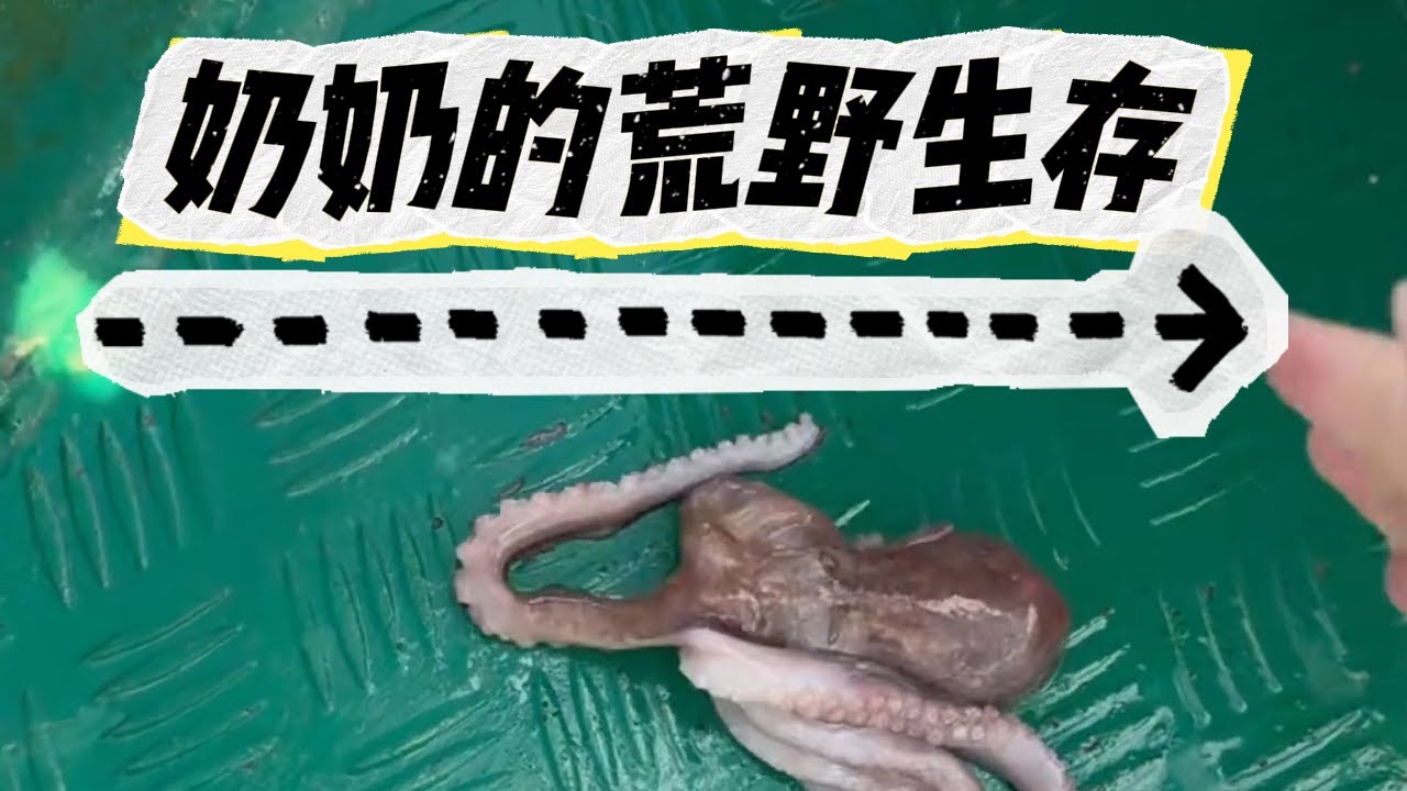 带奶奶荒岛生存的第一天，还挺不错的#camping #campping #outdoors #cute #funny