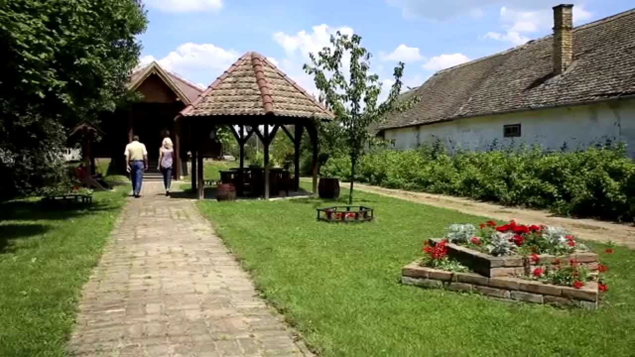 Erdut Wine Routes