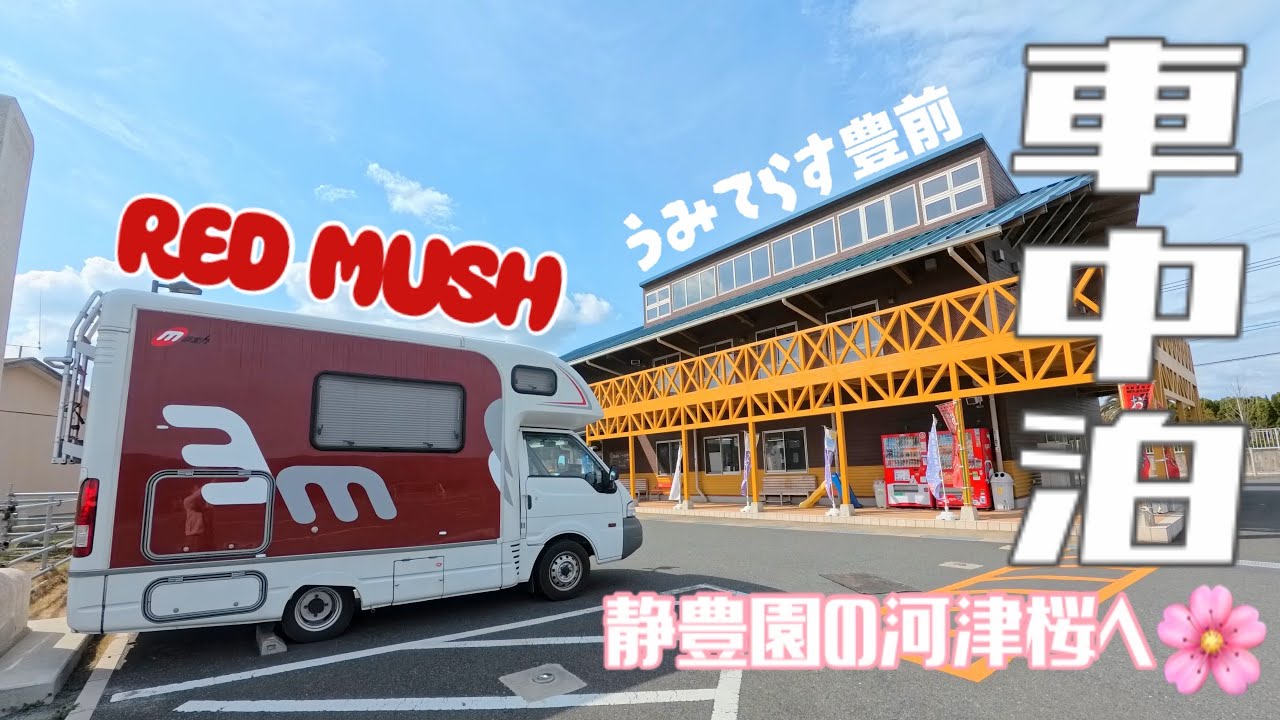 【車中泊】豊前おこしかけ〜静豊園の河津桜〜うみてらす豊前〜天地山公園