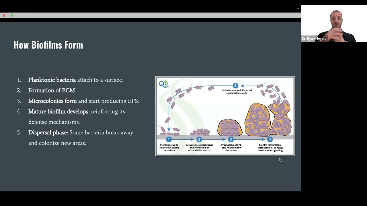 Breaking Through the Barrier: Understanding Biofilms and the Role of Ozone Therapy in Treatment