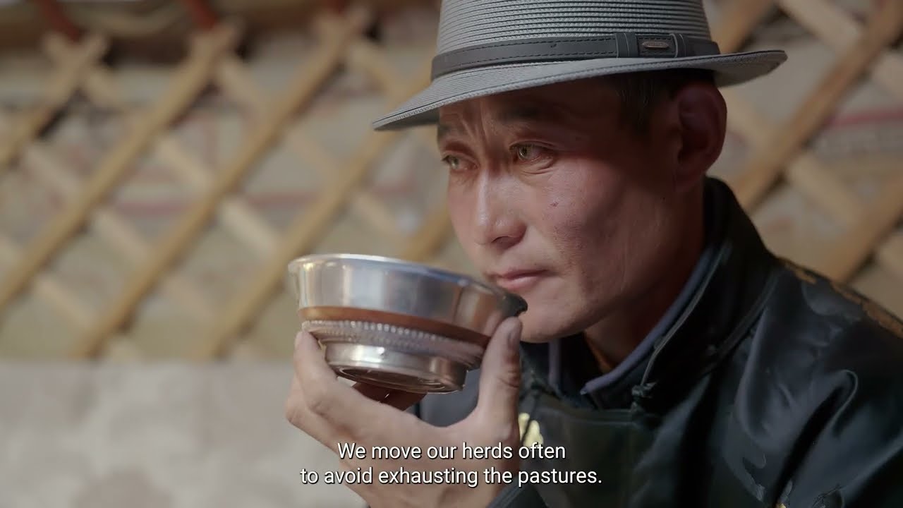 Nomad4Life: How Mongolian Herders Sustain Their Rangelands | IYRP 2026
