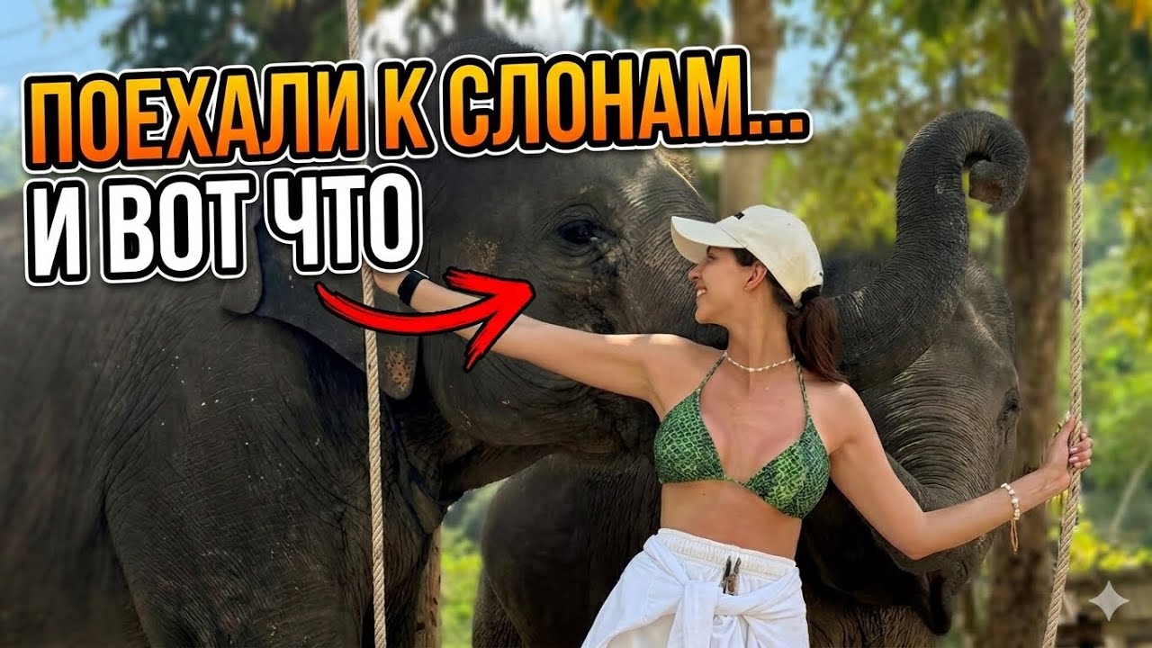 СЛОНЫ ВБЛИЗИ… ЭТО НЕЧТО