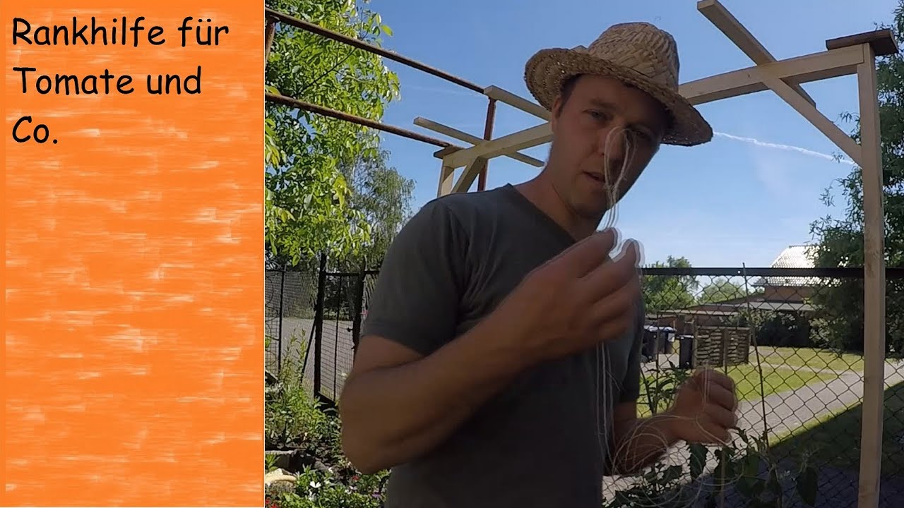 Die Beste Rankhilfe für Tomaten - Layer  Tomatenrankhilfe