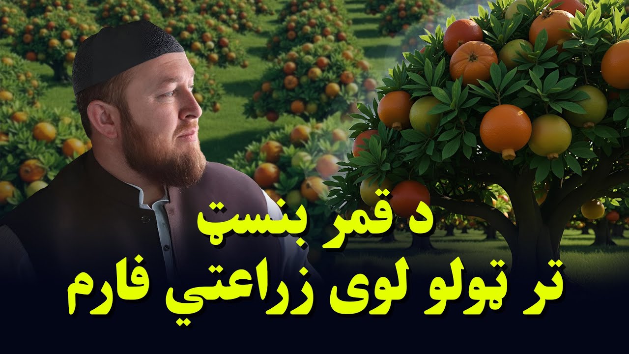 افغانستان کې د قمر خیریه بنسټ تر ټولو لوی زراعتي فارم | LARGEST Agriculture Project in Afghanistan!