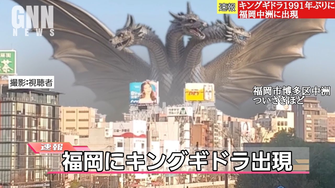 【ゴジラに襟巻き！？ジラース登場！】空想特撮ニュースNEO キングゴジラが福岡に再来！？ガメラvsヘドラ！福岡空港にレッドキング出現！ソフビ紹介など