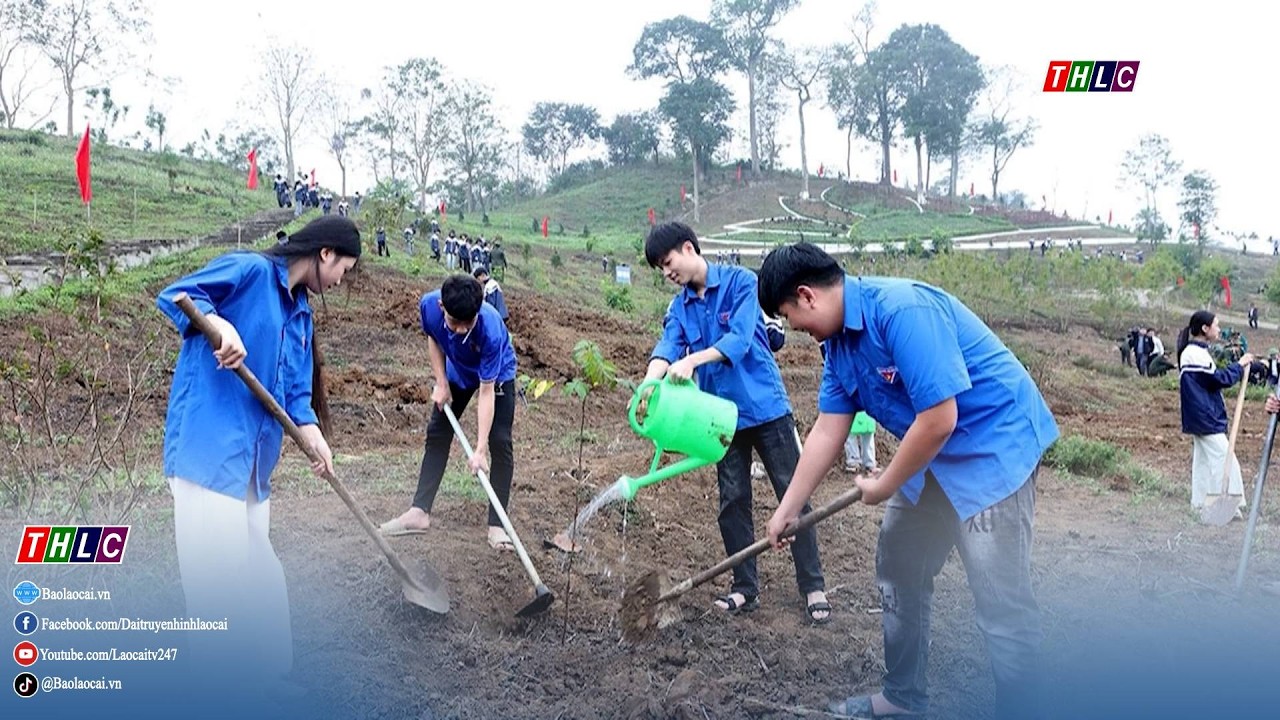 Tây Bắc chuyển động (9/3/2026) | THLC