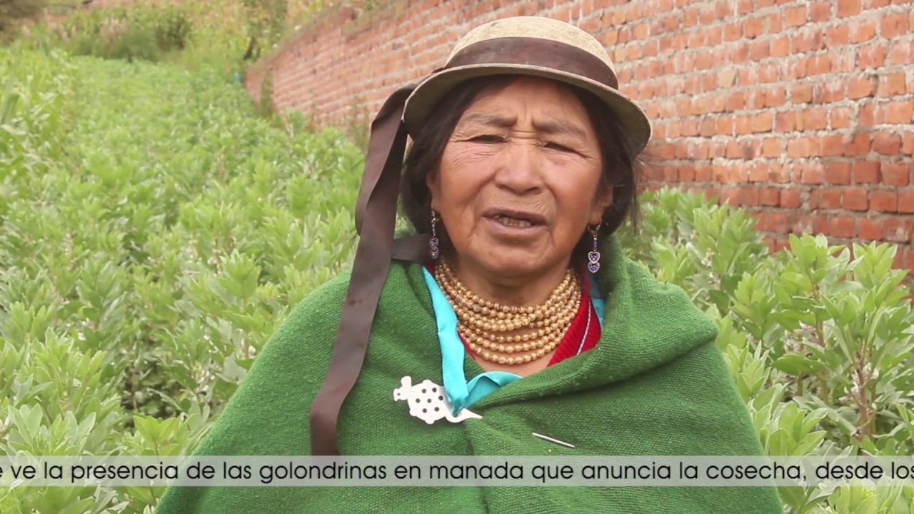 Reconociendo las señales de Pachamama - Cosmovisión indígena en Ecuador