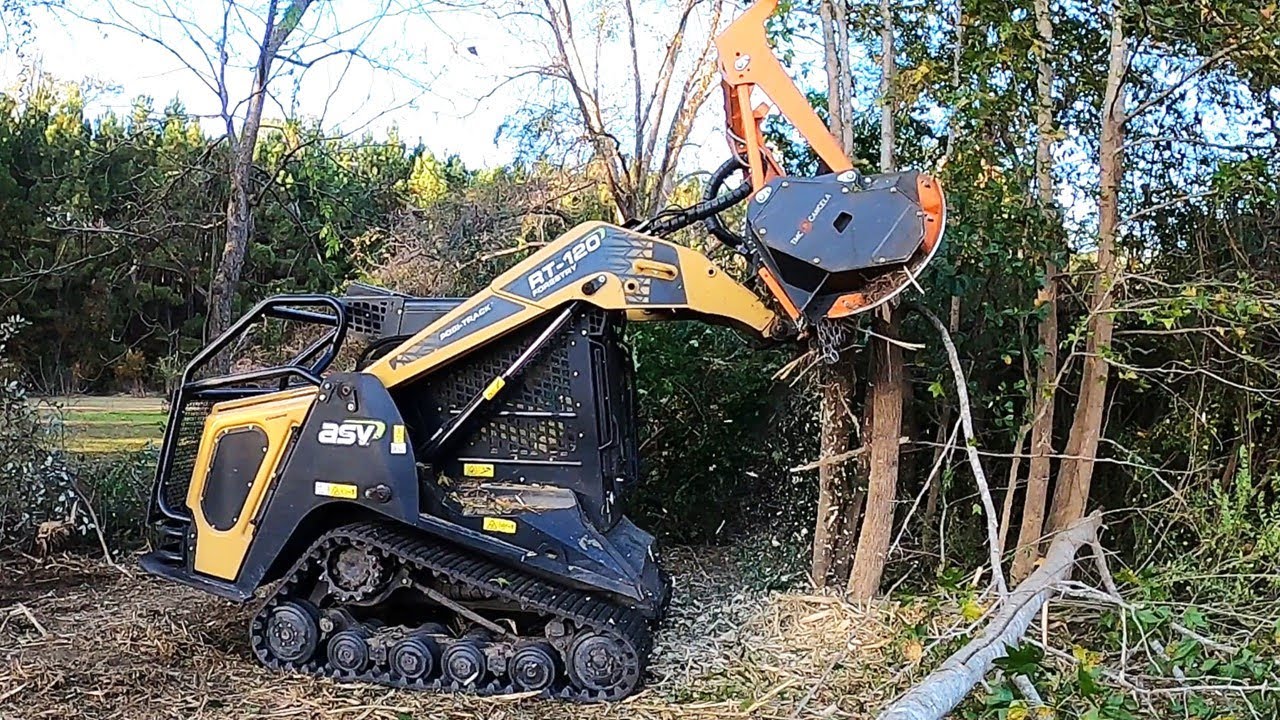 DEVELOPER IN DISBELIEF AFTER RECLAIMING HIS PROPERTY FROM NIGHTMARE OVERGROWTH!