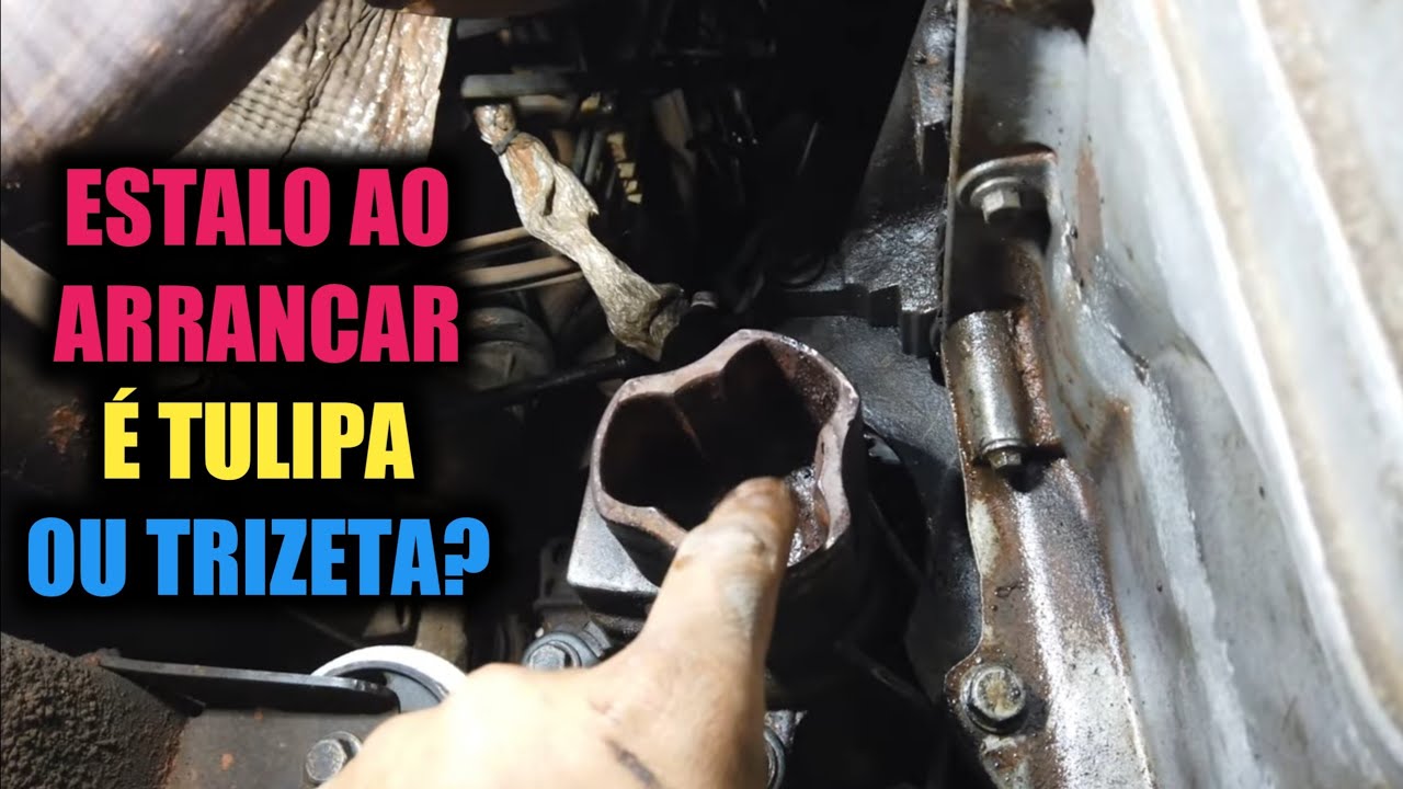 Tulipa ou Trizeta? Onde está o defeito?