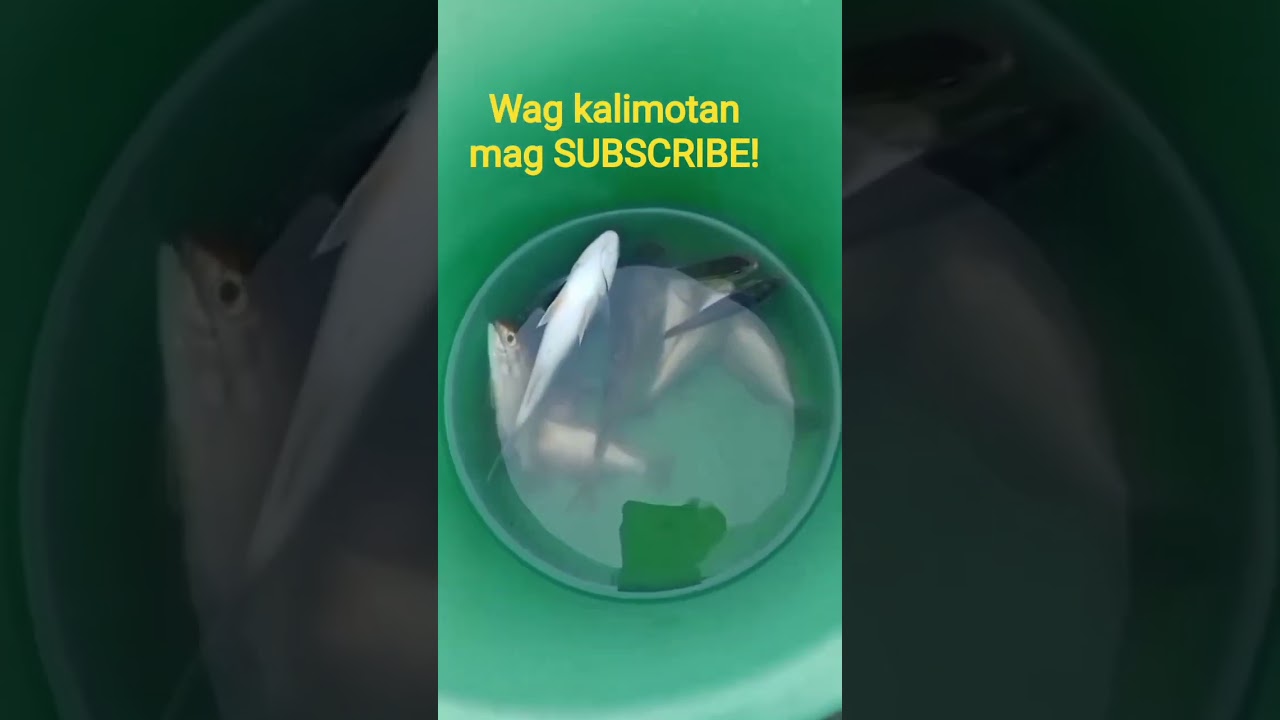 maraming huli!