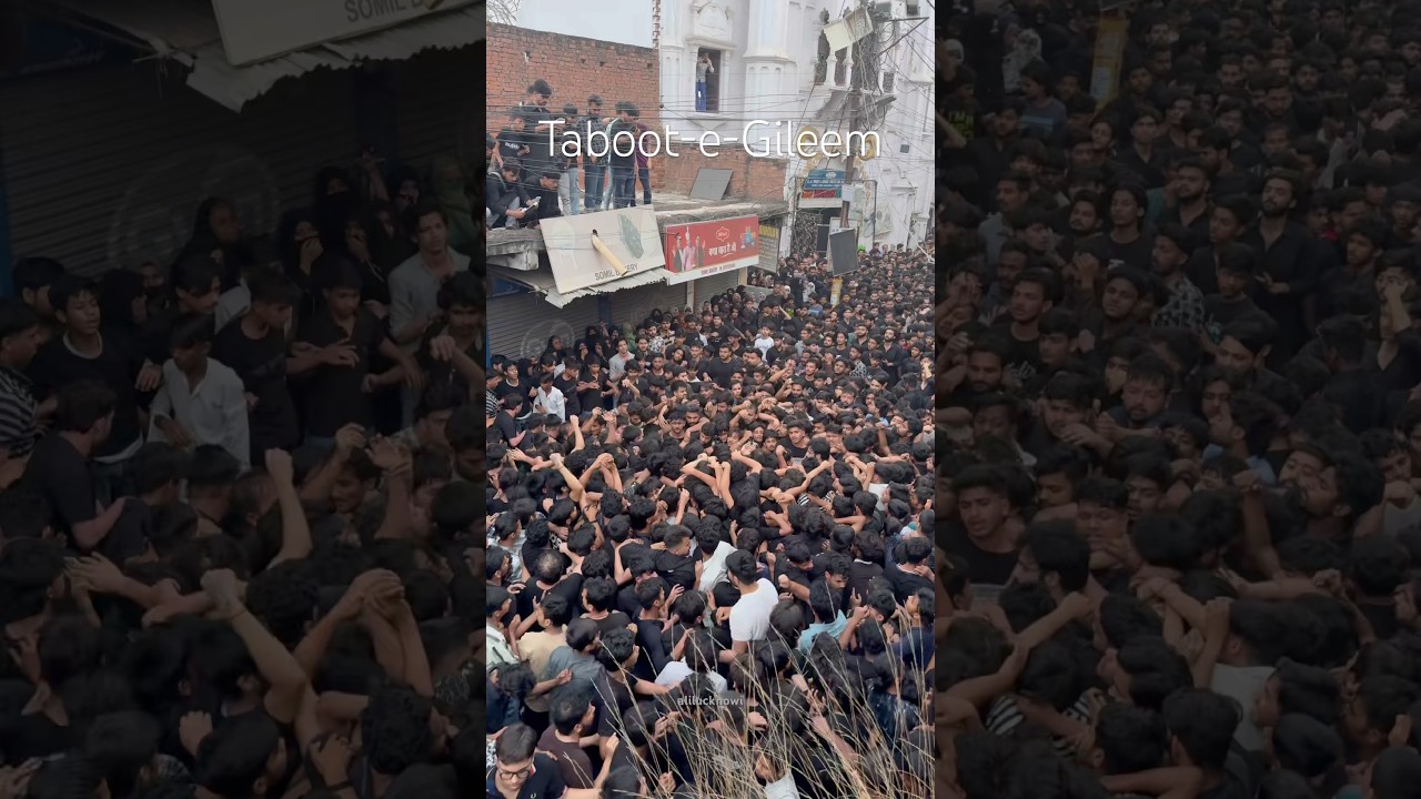 19 Ramzan Lucknow Taboot-e-Gileem Shahadat Imam Ali a.s #19ramzanstatus #yaali #gileemwalataboot