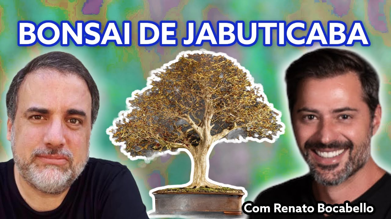 Aulão sobre Bonsai de Jabuticaba (Jabuticabeira) por Renato Bocabello